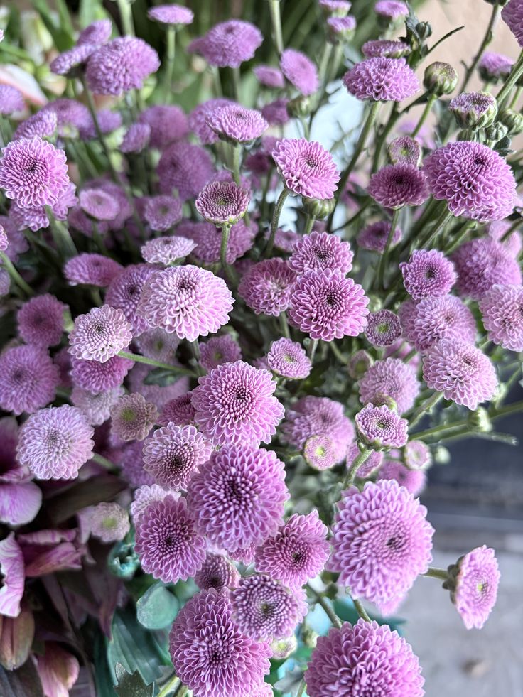 Chrysanthemum Spray Purple