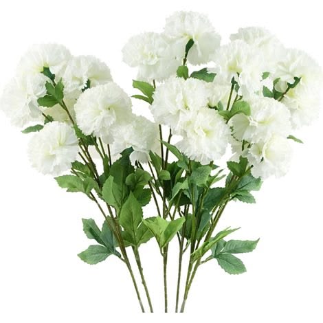 Carnation White